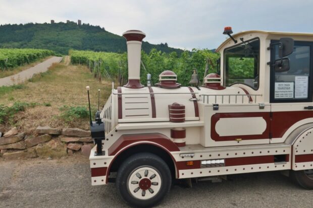 Passeggiata ad Eguisheim Alsazia Francia
